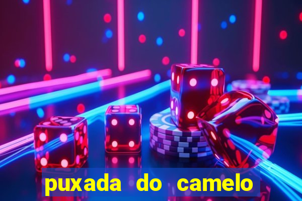 puxada do camelo no jogo do bicho